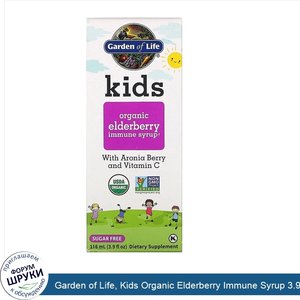 Garden_of_Life__Kids_Organic_Elderberry_Immune_Syrup_3.9_fl_oz__116_mL_.jpg