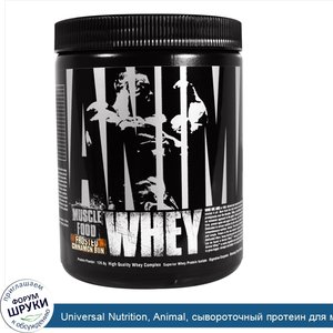 Universal_Nutrition__Animal__сывороточный_протеин_для_мышц__глазированная_булочка_с_корицей__1...jpg