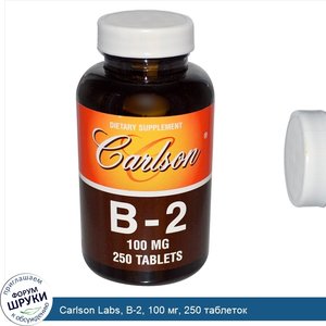 Carlson_Labs__B_2__100_мг__250_таблеток.jpg