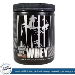 Universal_Nutrition__Animal__сывороточный_протеин_для_мышц__шоколад___135_г_.jpg