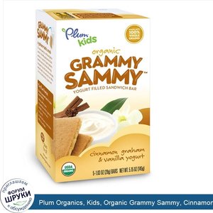 Plum_Organics__Kids__Organic_Grammy_Sammy__Cinnamon_Graham_Vanilla_Yogurt__5_Bars__1.03_oz__29...jpg