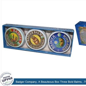 Badger_Company__A_Beauteous_Box_Three_Bold_Balms__.75_oz_21_g_Each.jpg