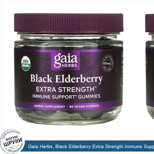 Gaia_Herbs__Black_Elderberry_Extra_Strength_Immune_Support_Gummies__80_Vegan_Gummies.jpg