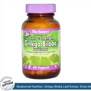 Bluebonnet_Nutrition__Ginkgo_Biloba_Leaf_Extract__Extra_Strength__60_Vcaps.jpg