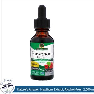 Nature_s_Answer__Hawthorn_Extract__Alcohol_Free__2_000_mg__1_fl_oz__30_ml_.jpg