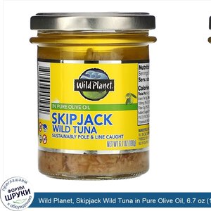 Wild_Planet__Skipjack_Wild_Tuna_in_Pure_Olive_Oil__6.7_oz__190_g_.jpg