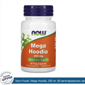 Now_Foods__Mega_Hoodia__250_мг__60_вегетарианских_капсул.jpg