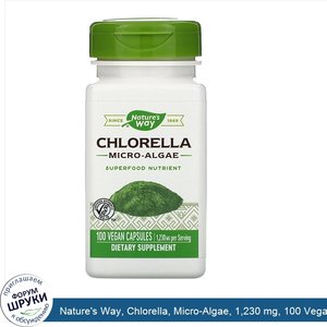 Nature_s_Way__Chlorella__Micro_Algae__1_230_mg__100_Vegan_Capsules.jpg