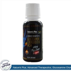 Nature_s_Plus__Advanced_Therapeutics__Glucosamine_Chondroitin_MSM__Ultra_RX_Joint_Liquid__Hone...jpg