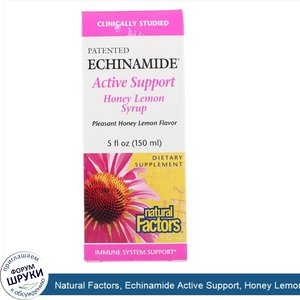 Natural_Factors__Echinamide_Active_Support__Honey_Lemon_Syrup__5_fl_oz__150_ml_.jpg