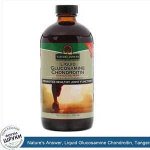 Nature_s_Answer__Liquid_Glucosamine_Chondroitin__Tangerine_Flavored__16_fl_oz__480_ml_.jpg