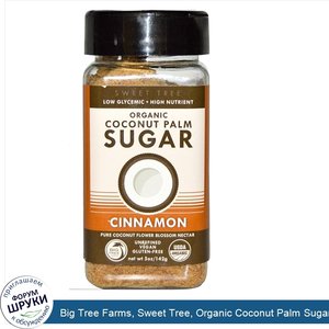 Big_Tree_Farms__Sweet_Tree__Organic_Coconut_Palm_Sugar_Shaker__Cinnamon__5_oz__142_g_.jpg