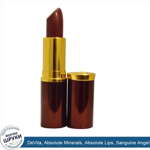 DeVita__Absolute_Minerals__Absolute_Lips__Sanguine_Angel__0.13_oz__3.84_ml_.jpg