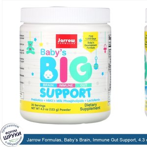 Jarrow_Formulas__Baby_s_Brain__Immune_Gut_Support__4.3_oz__123_g_.jpg