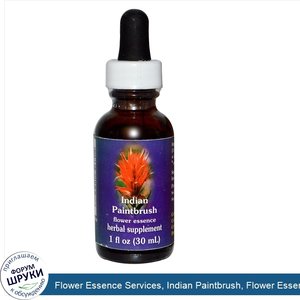 Flower_Essence_Services__Indian_Paintbrush__Flower_Essence__1_fl_oz__30_ml_.jpg