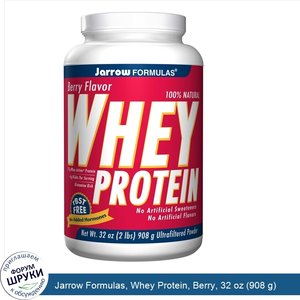 Jarrow_Formulas__Whey_Protein__Berry__32_oz__908_g_.jpg