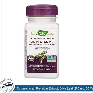 Nature_s_Way__Premium_Extract__Olive_Leaf__250_mg__60_Vegan_Capsules.jpg