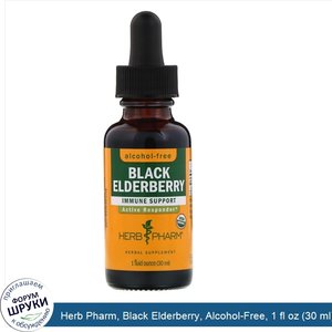 Herb_Pharm__Black_Elderberry__Alcohol_Free__1_fl_oz__30_ml_.jpg