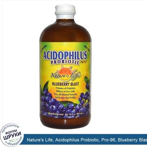 Nature_s_Life__Acidophilus_Probiotic__Pro_96__Blueberry_Blast__16_fl_oz__474_ml___Ice_.jpg