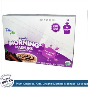 Plum_Organics__Kids__Organic_Morning_Mashups__Squeezable_Oatmeal__Oatmeal_Raisin__6_Pouches__3...jpg