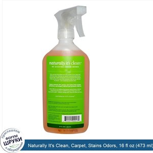 Naturally_It_s_Clean__Carpet__Stains_Odors__16_fl_oz__473_ml_.jpg