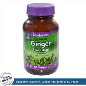 Bluebonnet_Nutrition__Ginger_Root_Extract__60_Vcaps.jpg