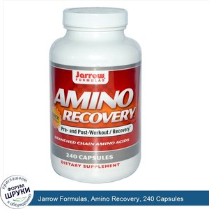 Jarrow_Formulas__Amino_Recovery__240_Capsules.jpg