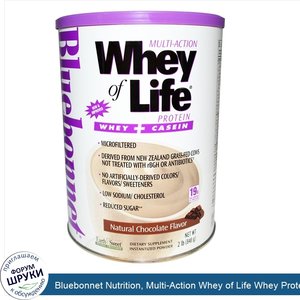 Bluebonnet_Nutrition__Multi_Action_Whey_of_Life_Whey_Protein__Natural_Chocolate_Flavor__2_lbs_...jpg