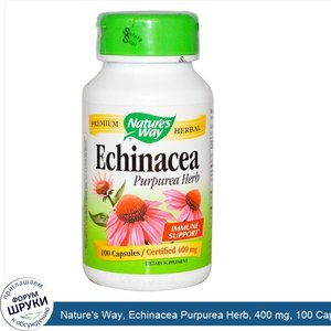 Nature_s_Way__Echinacea_Purpurea_Herb__400_mg__100_Capsules.jpg