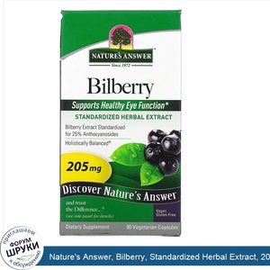 Nature_s_Answer__Bilberry__Standardized_Herbal_Extract__205_mg__90_Vegetarian_Capsules.jpg