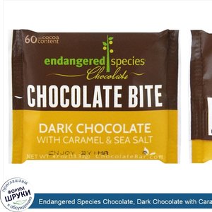 Endangered_Species_Chocolate__Dark_Chocolate_with_Caramel_Sea_Salt__0.47_oz__13.32_g_.jpg