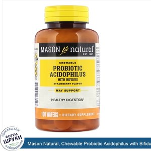 Mason_Natural__Chewable_Probiotic_Acidophilus_with_Bifidus__Strawberry_Flavor__100_Wafers.jpg