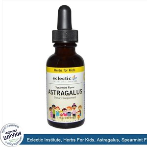 Eclectic_Institute__Herbs_For_Kids__Astragalus__Spearmint_Flavor__1_fl_oz__30_ml_.jpg