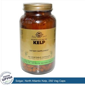 Solgar__North_Atlantic_Kelp__250_Veg_Caps.jpg