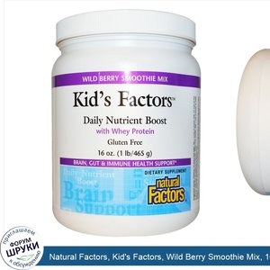 Natural_Factors__Kid_s_Factors__Wild_Berry_Smoothie_Mix__16_oz__465_g_.jpg