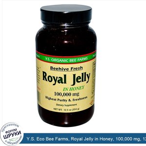 Y.S._Eco_Bee_Farms__Royal_Jelly_in_Honey__100_000_mg__12.5_oz__354_g___Ice_.jpg