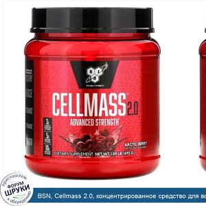 BSN__Cellmass_2.0__концентрированное_средство_для_восстановления_после_тренировки__арктические...jpg