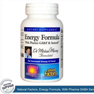 Natural_Factors__Energy_Formula__With_Pharma_GABA_Sensoril__90_Veggie_Caps.jpg