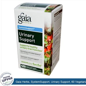 Gaia_Herbs__SystemSupport__Urinary_Support__60_Vegetarian_Liquid_Phyto_Caps.jpg