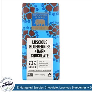 Endangered_Species_Chocolate__Luscious_Blueberries___Dark_Chocolate__72__Cocoa__3_oz__85_g_.jpg