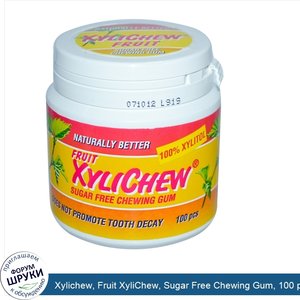 Xylichew__Fruit_XyliChew__Sugar_Free_Chewing_Gum__100_pcs.jpg