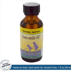 Herbs_for_Kids__Gum_omile_Oil__Alcohol_Free__1_fl_oz__30_ml_.jpg