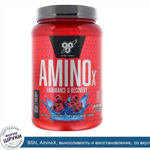 BSN__AminoX__выносливость_и_восстановление__со_вкусом_синей_малины__1_01кг__2_24фунта_.jpg