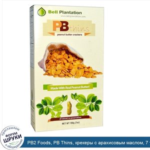 PB2_Foods__PB_Thins__крекеры_с_арахисовым_маслом__7_унций__198_г_.jpg