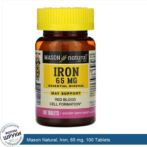 Mason_Natural__Iron__65_mg__100_Tablets.jpg