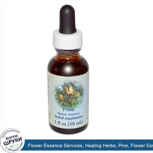 Flower_Essence_Services__Healing_Herbs__Pine__Flower_Essence__1_fl_oz__30_ml_.jpg