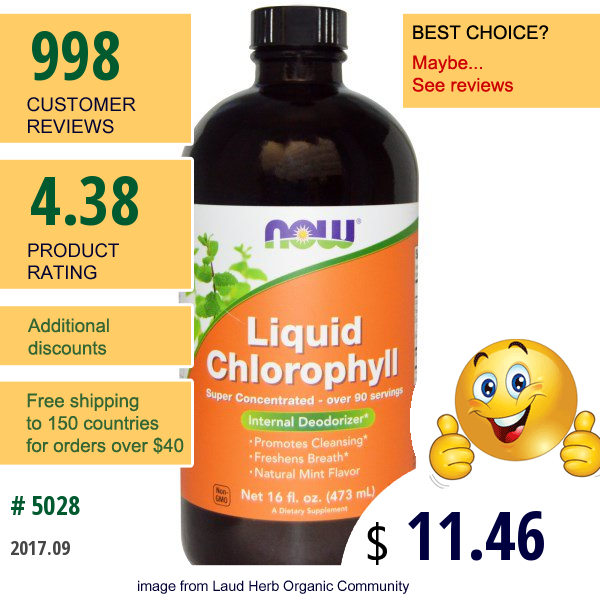 Now Foods, Liquid Chlorophyll, Mint Flavor, 16 Fl Oz (473 Ml)