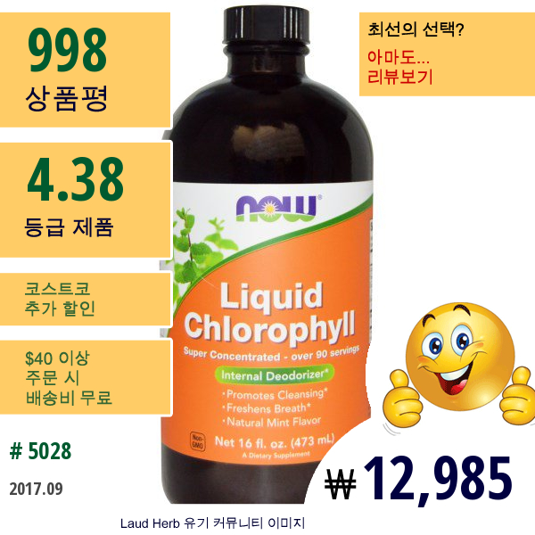 Now Foods, 액상 엽록소, 민트향, 16 Fl Oz (473 Ml)