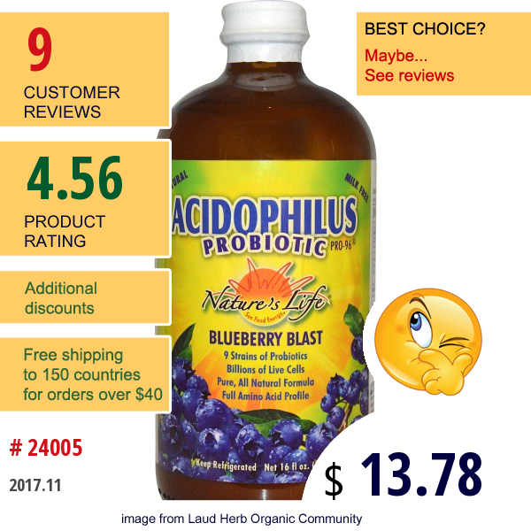 Natures Life, Acidophilus Probiotic, Pro-96, Blueberry Blast, 16 Fl Oz (474 Ml) (Ice)   