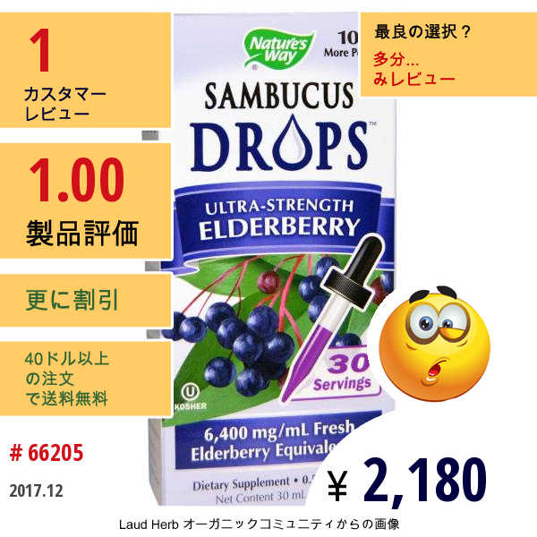 Natures Way, サンブカス（ニワトコ）、 超強力エルダーベリー、 1 液量オンス (30 Ml)  